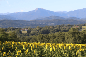 Montsaunès